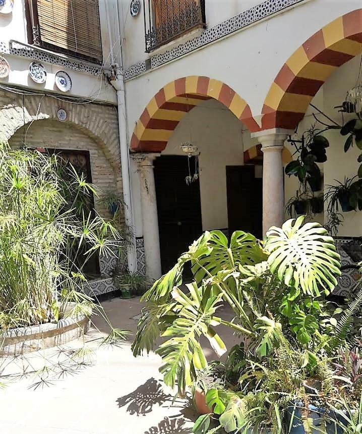 Ap Abderraman I Cordoba Διαμέρισμα Εξωτερικό φωτογραφία