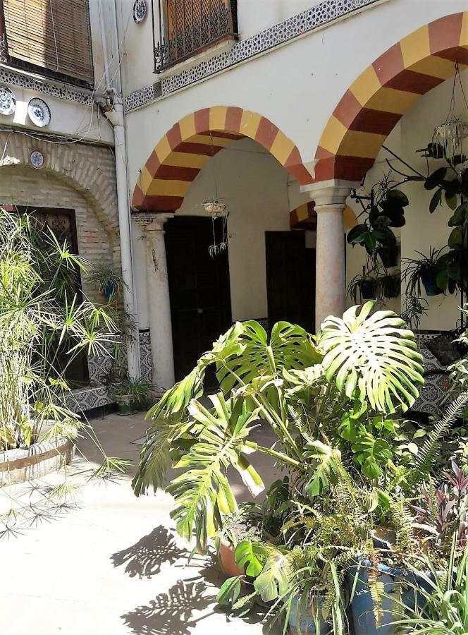 Ap Abderraman I Cordoba Διαμέρισμα Εξωτερικό φωτογραφία